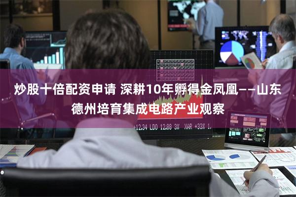 炒股十倍配资申请 深耕10年孵得金凤凰——山东德州培育集成电路产业观察